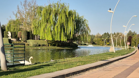 Eskişehir Osmangazi Üniversitesi Videolar görseli