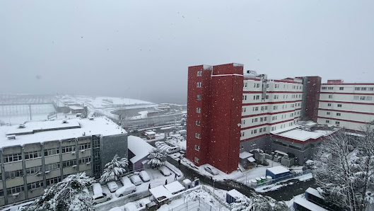 İstanbul Eğitim ve Araştırma Hastanesi Videolar görseli