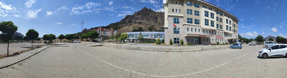 Şebinkarahisar Devlet Hastanesi Bina görseli