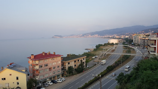 Yeşil Giresun Mesleki ve Teknik Anadolu Lisesi