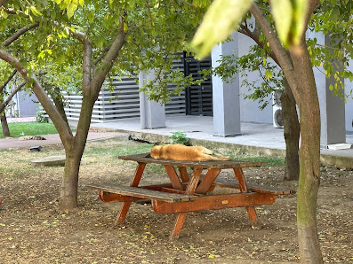 Yıldız Teknik Üniversitesi Bilgi İşlem Merkezi Peyzaj görseli