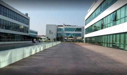 YTÜ Yıldız Teknopark - Davutpaşa Kampüsü Sahibinin seçtikleri görseli