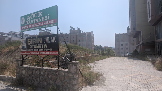 Böcek Hastanesi Tümü görseli