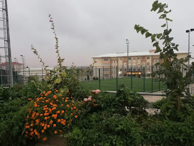 Karaman TOBB Fen Lisesi Sahibinin seçtikleri görseli
