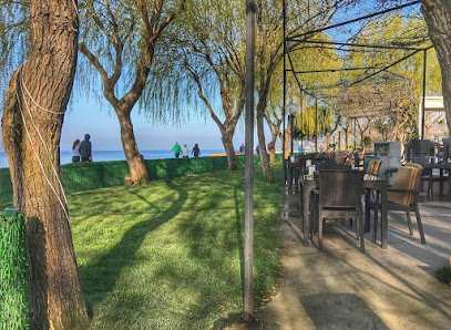 Palmiye Cafe Sahibinin seçtikleri görseli