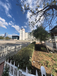 Pet Ct Polikliniği Street View ve 360° görseli