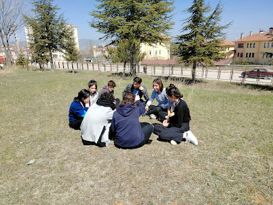Göl Anadolu Lisesi Tümü görseli