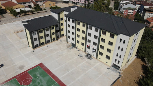 İzmit Uluğbey Anadolu Lisesi Sahibinin seçtikleri görseli
