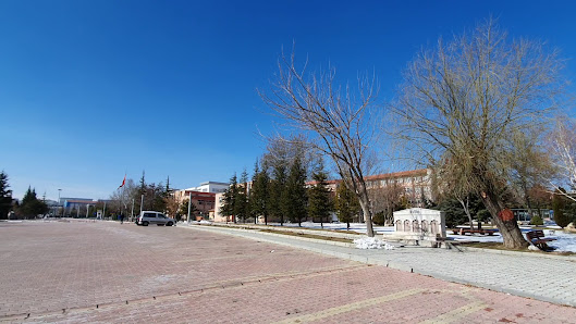 Selçuk Üniversitesi Peyzaj görseli
