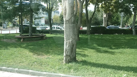 Selçuk Üniversitesi Videolar görseli