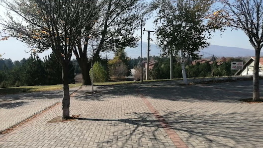 Kütahya Dumlupınar Üniversitesi Rektörlüğü Videolar görseli