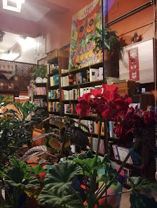 Baykuş Kitap&Kafe Sahibinin seçtikleri görseli