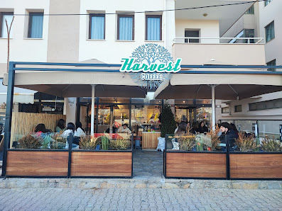 Harvest Coffee Tümü görseli