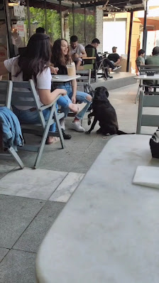 Mackbear Coffee Videolar görseli