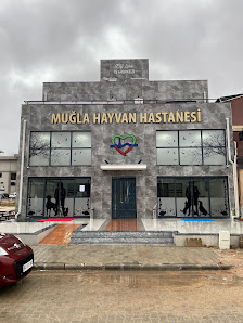 MUĞLA HAYVAN HASTANESİ Tümü görseli