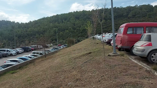 MİLAS DEVLET HASTANESİ Videolar görseli