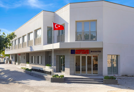 Bodrum Amerikan Hastanesi Tümü görseli
