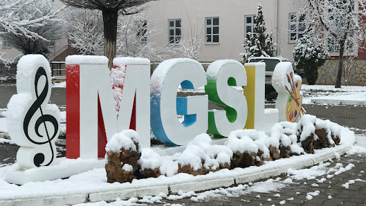 Muğla Güzel Sanatlar Lisesi