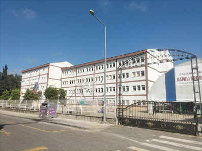 Ordu Anadolu Lisesi Tümü görseli