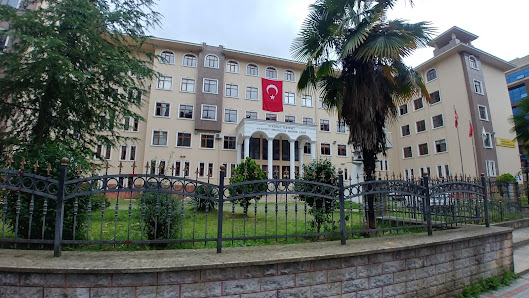 Rize Hasan Kemal Yardımcı Mesleki ve Teknik Anadolu Lİsesi Tümü görseli