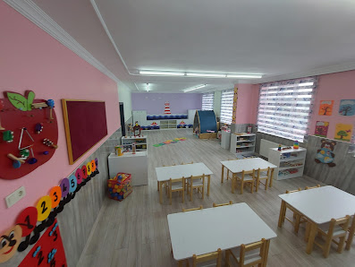 Anadolu Koleji Sınıf görseli