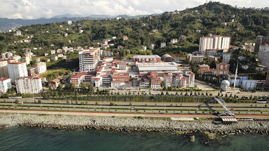 Recep Tayyip Erdoğan Üniversitesi Tümü görseli