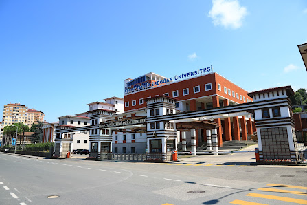 Recep Tayyip Erdoğan Üniversitesi Sahibinin seçtikleri görseli