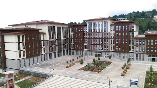 Recep Tayyip Erdoğan Üniversitesi İlahiyat Fakültesi Sahibinin seçtikleri görseli