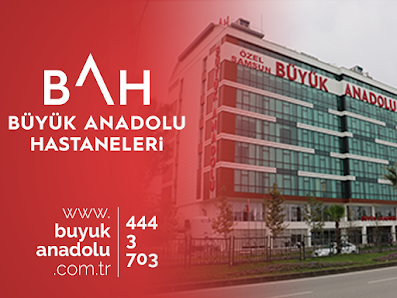 Samsun Büyük Anadolu Meydan Hastanesi Tümü görseli
