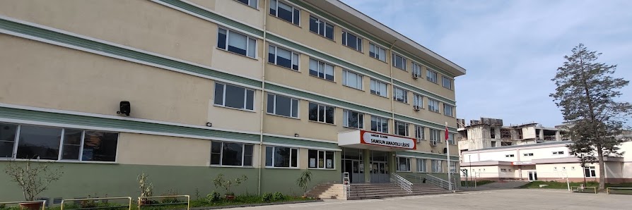 Samsun Anadolu Lisesi Tümü görseli