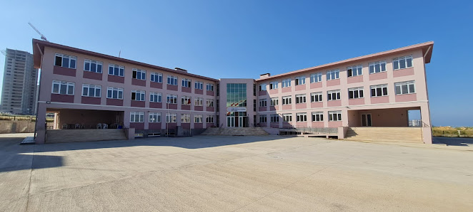 Samsun Garip Zeycan Yıldırım Fen Lisesi Tümü görseli