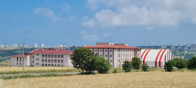 Samsun Garip Zeycan Yıldırım Fen Lisesi Sahibinin seçtikleri görseli
