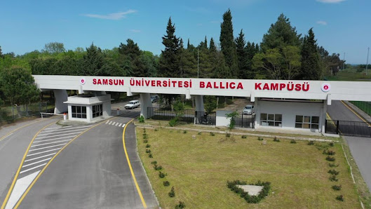 Samsun Üniversitesi Sahibinin seçtikleri görseli
