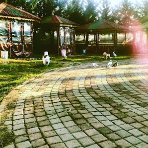 Kılıç Cafe/Restaurant Sahibinin seçtikleri görseli
