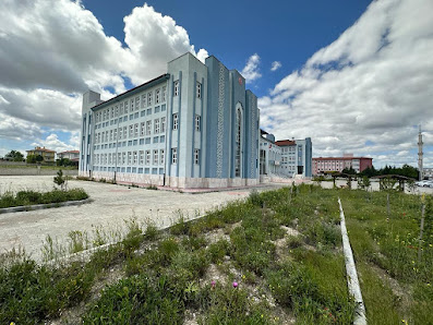 Afyonkarahisar Zübeyde Hanım Kız Mesleki ve Teknik Anadolu Lisesi Tümü görseli