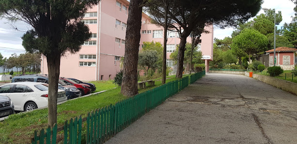 Sinop Sarı Saltuk Anadolu lisesi Tümü görseli