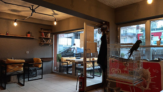 KAKTÜS Cafe Ortam görseli