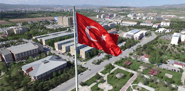 Sivas Cumhuriyet Üniversitesi Tümü görseli