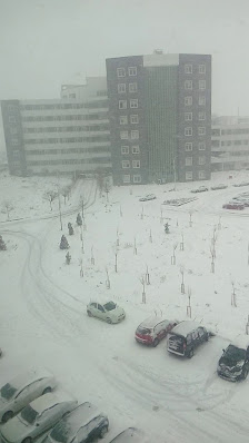 Tekirdağ Namık Kemal Üniversitesi Videolar görseli