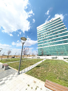 Tekirdağ Namık Kemal Üniversitesi Street View ve 360° görseli