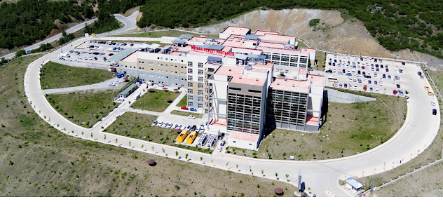 Niksar Devlet Hastanesi Tümü görseli