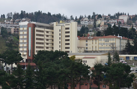 Sağlık Bilimleri Üniversitesi Ahi Evren Göğüs Kalp ve Damar Cerrahisi Eğitim ve Araştırma Hastanesi Tümü görseli