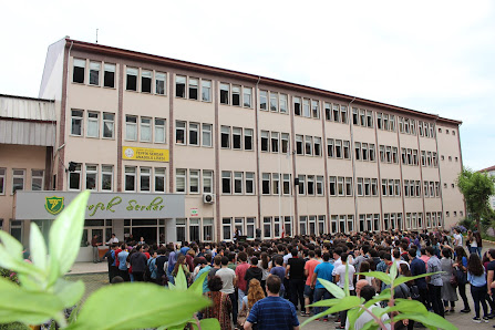 Tevfik Serdar Anadolu Lisesi-Proje Okulu Tümü görseli