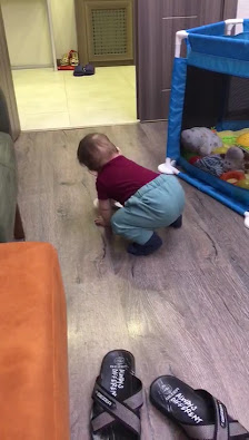 Palamut Cafe Videolar görseli
