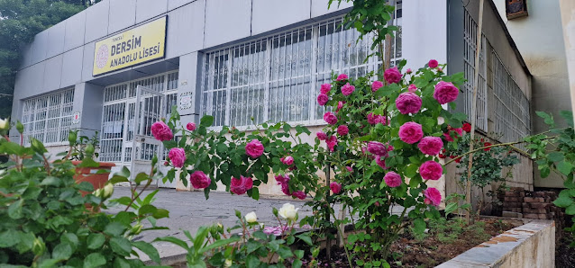Dersim Anadolu Lisesi