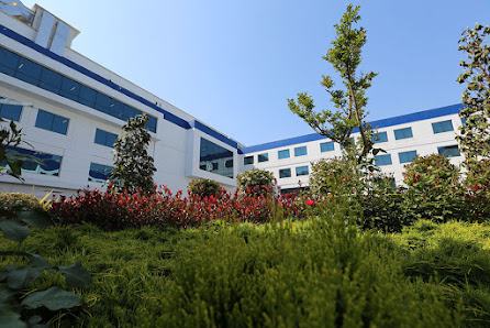 Okan Üniversitesi Hastanesi Sahibinin seçtikleri görseli