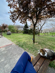 Sabancı Üniversitesi En son görseli