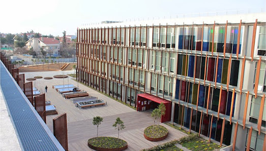 Piri Reis Üniversitesi Sahibinin seçtikleri görseli