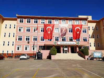 Prof. Dr. Nabi Avcı Fen Lisesi Tümü görseli