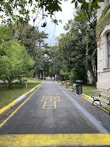 SBÜ Haydarpaşa Numune Eğitim ve Araştırma Hastanesi Sahibinin seçtikleri görseli
